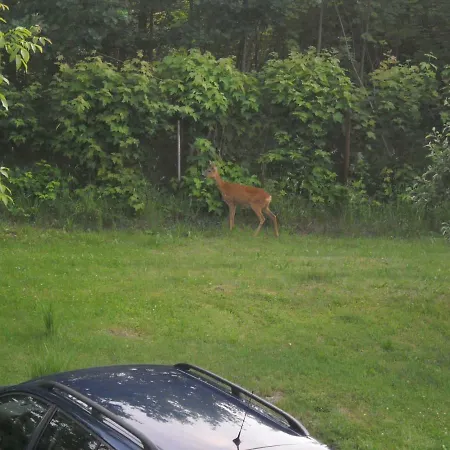 Kwatera prywatna Sielanka Kudowa-Zdrój